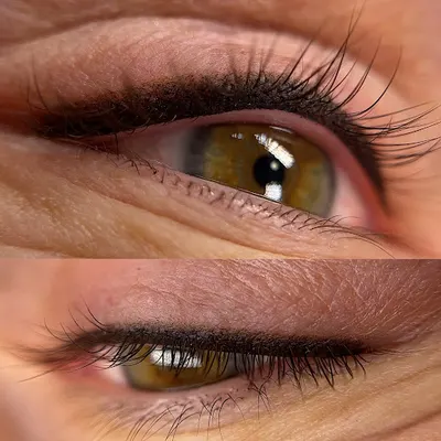 Perfect Lines Studio